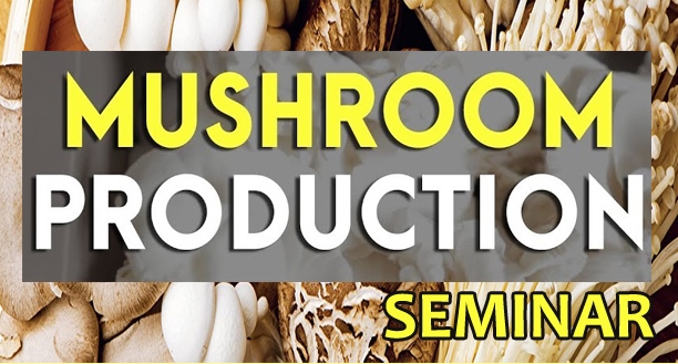 Poster for Mushroom Production 2019-cover